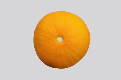 Ripe melon, bottom view. Stock Photos
