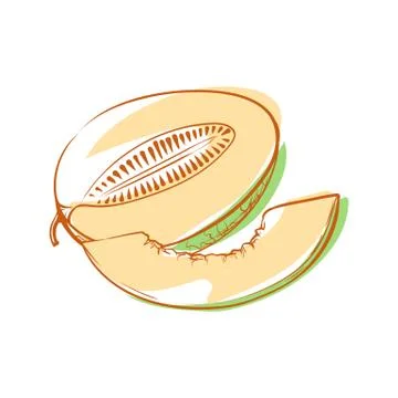 Ripe melon isolated vector icon Stock Illustration