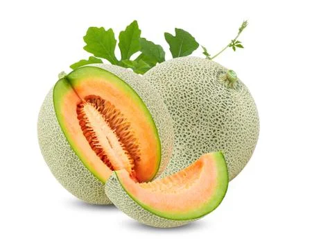 Ripe melon with slice and leaf isolated on white background. full depth of fi Stock Photos