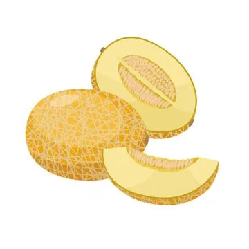 Ripe melon vector illustration isolated on white background. Juicy tropical Stock-Illustration