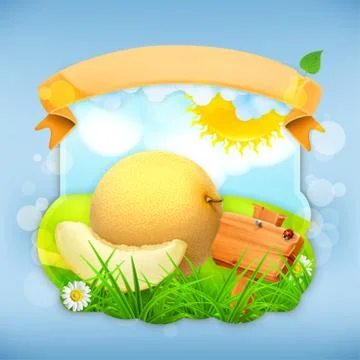 Ripe melon, vector label design Stock Illustration