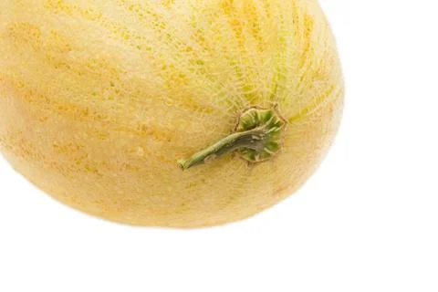 Ripe melon on a white background Stock Photos