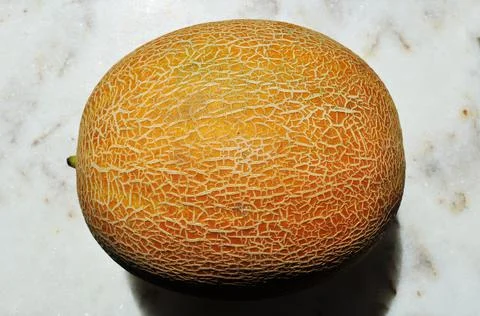 Ripe melon. Yellow melon on a light background. Stock Photos
