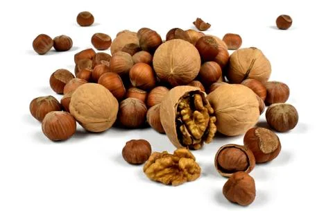 Ripe nuts in shell, hazelnuts and walnuts rossite on white background Foto stock