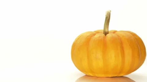 Ripe october pumpkin rotating on the table isolated on the white background Stock Footage 162909175