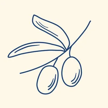 Ripe olive on branch with leaf, doodle style Stock Illustration