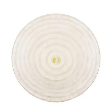 Ripe onion Stock Photos