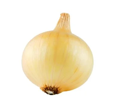 Ripe onion Stock Photos