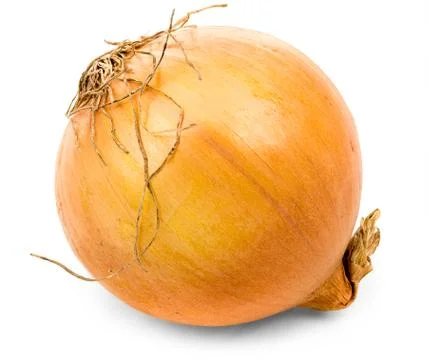 Ripe onion Stock Photos