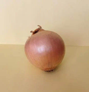 Ripe onion Stock Photos