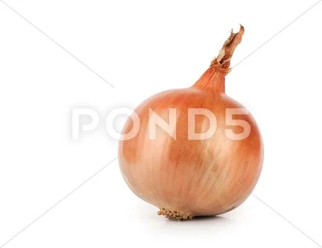 Ripe onion on a white background Stock Photos