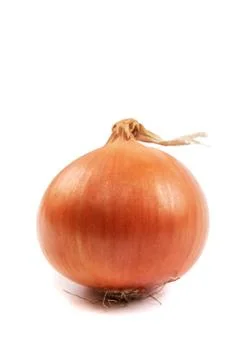 Ripe onion on a white background. Stock Photos