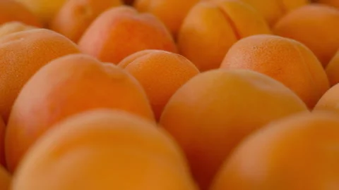 Ripe orange apricots - close-up Stock Footage 277844032