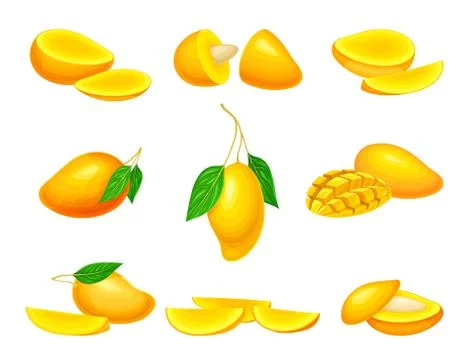 Ripe Orange Mango as Stone Fruit with Pit Inside Vector Set Stock Illustration