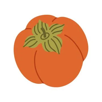 Ripe orange persimmon fruit vector illustration isolated on white. Perfect for Stock Illustration