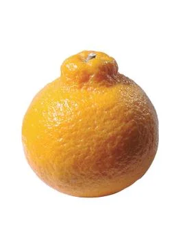 Ripe orange 写真素材