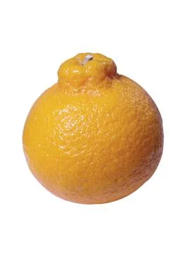 Ripe orange Stock Photos