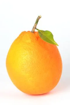 Ripe orange Stock Photos