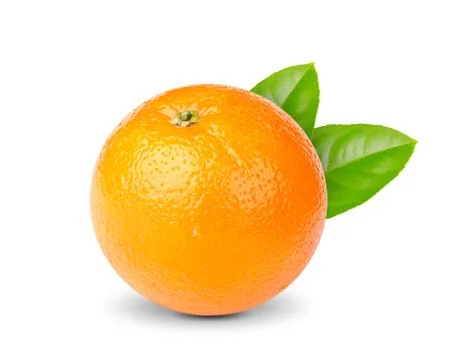 Ripe orange Stock Photos