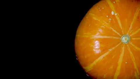 Ripe orange pumpkin on a black background 動画素材 163703186