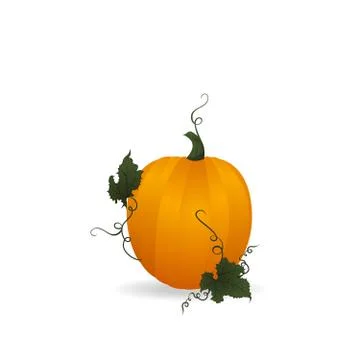 Ripe orange pumpkin Stock Illustration