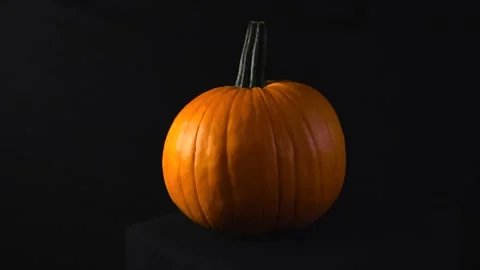 Ripe Orange Pumpkin Rotating on a Black Background Stock Footage 336538119