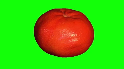 Ripe orange tangerine Stock Footage 48151870