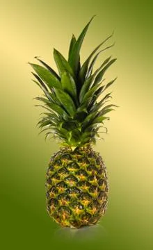 Ripe organic pineapple Stock-Fotos