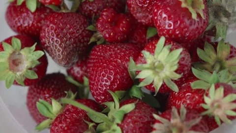 Ripe organic strawberries background flat lay harvest view Stock Footage 336263289