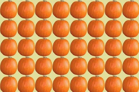Ripe pattern of orange pumpkin on yellow,ready to cooking Stock Photos