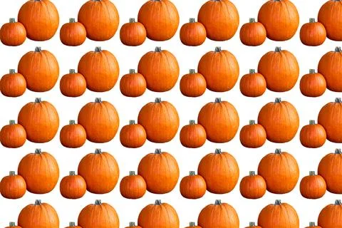 Ripe pattern of orange pumpkin,ready to cooking Stock Illustration
