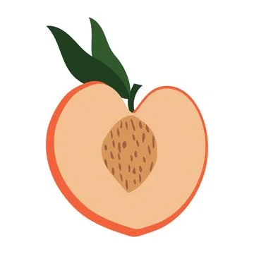 Ripe peach cut with pit and green leaves on white Stock Illustration
