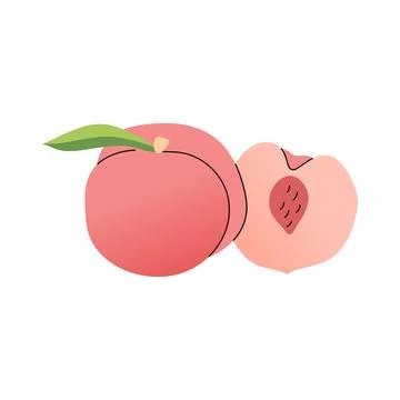 Ripe peach fruit with leaf and half vector graphic 스톡 일러스트