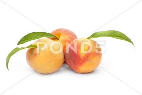 Ripe peach fruits Stock Photos