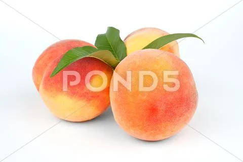 Ripe peach fruits Stock Photos