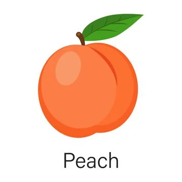 Ripe peach isolated on white background Stock Illustration