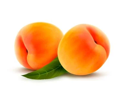 Ripe peach isolated on white. vector illustration Stock Illustration