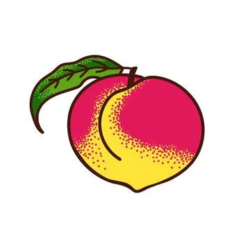 Ripe peach with a leaf. Vector doodle illustration on white background. Stock Illustration