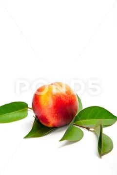 Ripe peach with leaves isolated on a white background Stock Photos