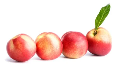 Ripe  peach Stock Photos