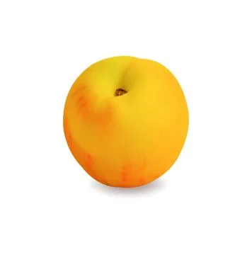 Ripe peach on white Vector illustration Stock Illustration