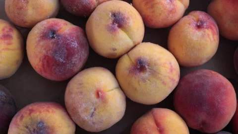 Ripe Peaches in Box, Top View Close-Up. Hendheld Shot. Video stock 290769259
