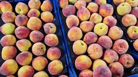 Ripe peaches piled in special boxes in a store Stock Footage 309464873