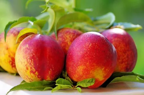 Ripe peaches on table Stock Photos