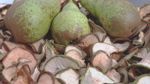 Ripe Pear Hanging on a Tree Branch Stock Footage 317427947