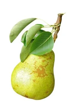 Ripe pear isolated Stock Photos