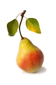 Ripe pear Stock Photos