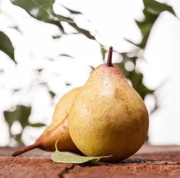 Ripe pears Stock Photos