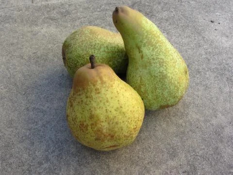 Ripe pears Stock Photos