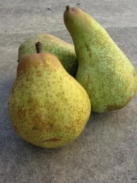 Ripe pears Stock Photos